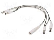 Cable; 2x0.5mm2; DC 5,5/2,1 plug x4,DC 5,5/2,5 socket; straight BQ CABLE