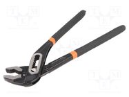 Pliers; adjustable,Cobra adjustable grip; 250mm; steel AVIT