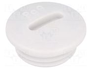 Stopper; PG9; IP54; polystyrene; light grey; SKINDICHT®; 6mm LAPP