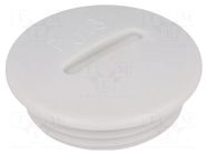 Stopper; PG16; IP54; polystyrene; light grey; SKINDICHT®; 6mm LAPP