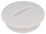 Stopper; PG16; IP54; polystyrene; light grey; SKINDICHT®; 6mm LAPP