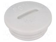 Stopper; PG11; IP54; polystyrene; light grey; SKINDICHT®; 6mm LAPP