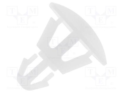 Assembly stud; polyamide; L: 3.5mm; snap fastener; natural FIX&FASTEN FIX-RCG-3.5