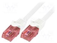 Patch cord; U/UTP; Cat: 6; RJ45 plug,both sides; stranded; Cu; 0.5m LOGILINK