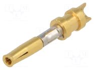 Contact; female; Buccaneer 6000,Buccaneer 7000; brass; soldering BULGIN