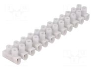 Connector: terminal block; 450V; screw terminal; Contacts: steel ELECTRO TERMINAL