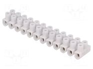 Connector: terminal block; 450V; screw terminal; Contacts: steel ELECTRO TERMINAL