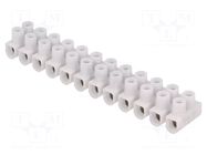 Connector: terminal block; 450V; screw terminal; Contacts: steel ELECTRO TERMINAL
