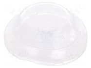 Accessories: cover; Body: transparent; R13 BULGIN