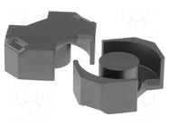 Core: ferrite; RM; 250nH; 4310mm3; 96.6mm2 FERROXCUBE