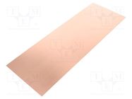 Laminate; FR4,epoxy resin; 0.6mm; L: 280mm; W: 100mm; double sided 
