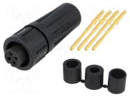 Connector: circular; plug; female; 5A; 125V; PIN: 4; EN2; soldering SWITCHCRAFT