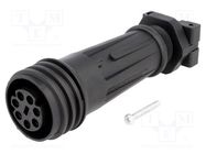 Connector: circular; plug; female; PIN: 7; Buccaneer 900; for cable BULGIN