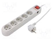 Plug socket strip: protective; Sockets: 5; 250VAC; 10A; grey ARMAC