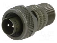 Connector: circular; plug; for cable; PIN: 2; male; soldering; MS/DS AMPHENOL