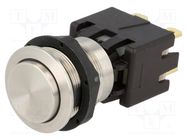 Switch: vandal resistant; Pos: 2; DPST-NO; 12A/250VAC; 0.5A/125VDC SCHURTER