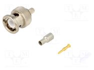 Connector: BNC; plug; male; straight; 50Ω; RG174,RG188; crimped TE Connectivity