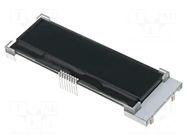 Display: LCD; alphanumeric; COG,FSTN Negative; 16x2; LED; PIN: 8 RAYSTAR OPTRONICS