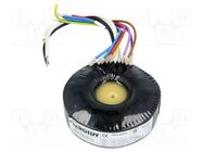 Transformer: toroidal audio; 40VA; 115VAC; 200÷200V; 3.15÷3.15V 