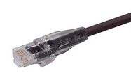 ENET CORD, CAT5E, RJ45 PLUG-PLUG, 1'