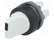 Switch: rotary; 22mm; Stabl.pos: 2; grey; none; IP66; prominent; M2S ABB