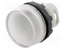 Control lamp; 22mm; ML1; -25÷70°C; Illumin: MLB-1; Ø22.5mm; IP66 ABB