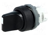 Switch: rotary; 22mm; Stabl.pos: 2; black; none; IP66; prominent ABB