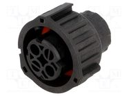 Connector: circular; 2.5mm System; female; plug; for cable; PIN: 2 TE Connectivity