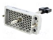 Connector: rectangular; 516; plug; hermaphrodite; PIN: 90; 2kV EDAC