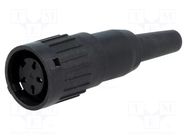 Connector: DIN; plug; female; C091B; PIN: 4; straight; for cable AMPHENOL
