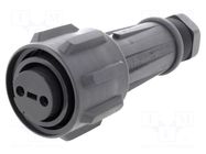 Connector: circular; plug; female; PIN: 2; 18A; 600V; EXPlora; IP68 BULGIN