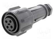 Connector: circular; plug; female; PIN: 4; EXPlora; Contacts: brass BULGIN