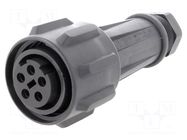 Connector: circular; plug; female; PIN: 5; 18A; 600V; EXPlora; IP68 BULGIN
