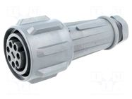 Connector: circular; plug; female; PIN: 7; 16A; 430V; EXPlora; IP68 BULGIN
