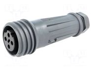 Connector: circular; plug; female; PIN: 4; 18A; 600V; EXPlora; IP68 BULGIN