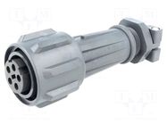 Connector: circular; plug; female; PIN: 5; 18A; 600V; EXPlora; IP68 BULGIN