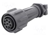 Connector: circular; plug; female; PIN: 7; 16A; 430V; EXPlora; IP68 BULGIN