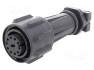Connector: circular; plug; female; PIN: 10; 10A; 250V; EXPlora; IP68 BULGIN
