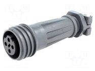 Connector: circular; plug; female; PIN: 4; 18A; 600V; EXPlora; IP68 BULGIN