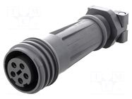Connector: circular; plug; female; PIN: 5; 18A; 600V; EXPlora; IP68 BULGIN