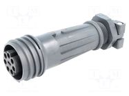 Connector: circular; plug; female; PIN: 7; 16A; 430V; EXPlora; IP68 BULGIN