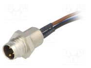 Connector: M8; 0.5m; male; PIN: 3; for panel mounting,screwed 