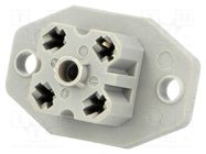 Connector: rectangular; G; socket; female; PIN: 4; tinned; IP65; 250V HIRSCHMANN