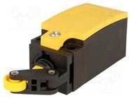 Limit switch; lever R 20mm, plastic roller Ø13mm; NO + NC; 6A 