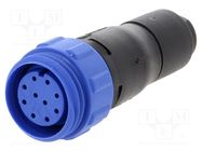 Connector: circular; plug; female; PIN: 10; w/o contacts; for cable BULGIN