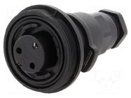 Connector: circular; plug; female; PIN: 3; 12A; 250V; IP68; UL94V-0 BULGIN