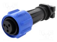 Connector: circular; plug; female; PIN: 3; Buccaneer 900; for cable BULGIN