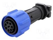 Connector: circular; plug; female; PIN: 7; Buccaneer 900; for cable BULGIN