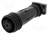 Connector: circular; plug; female; PIN: 10; Buccaneer 900; IP68 BULGIN