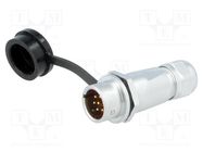 Plug; SF12; male; PIN: 7; IP67; 4÷6.5mm; 5A; soldering; for cable 